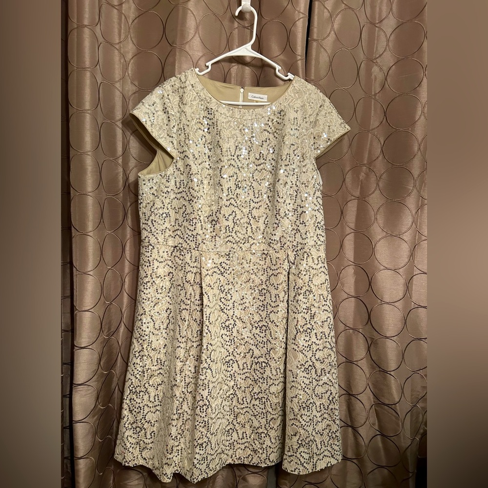 Never been worn Calvin Klein dress. Size 18W. Color  cream and silver sequins.